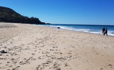Sunshine Beach holiday property management